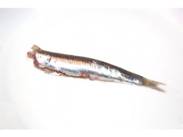 Alici pulite