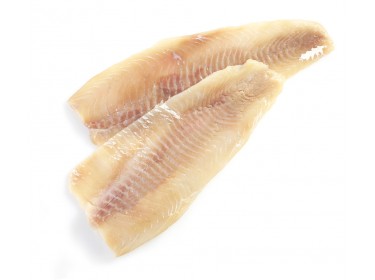 Orata Filetto