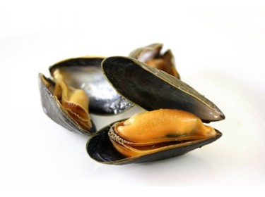 Cozze di Bouchot