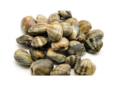 Vongole veraci