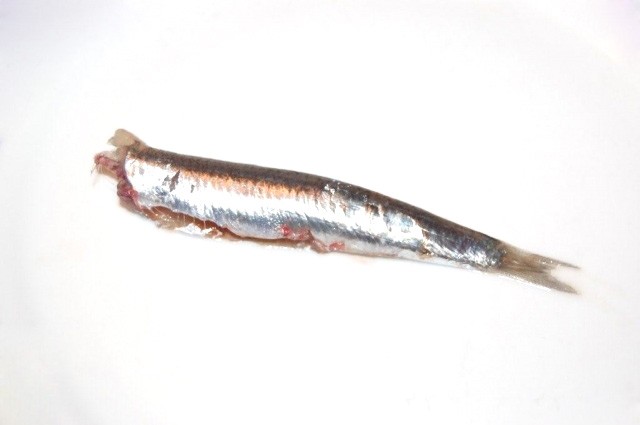 Alici pulite