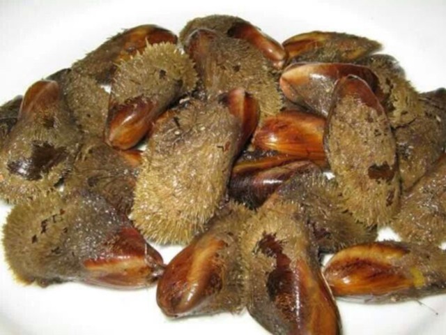 Cozze pelose
