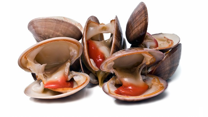 Fasolari