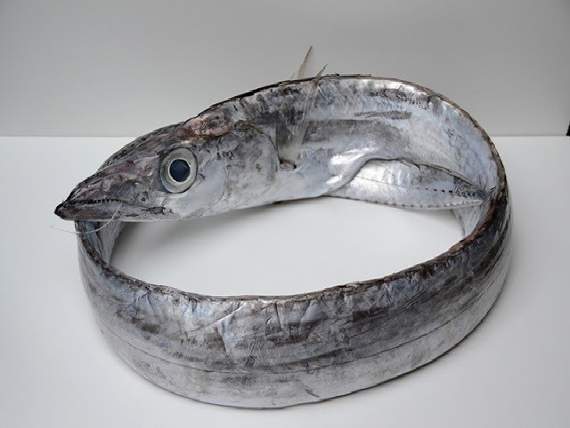 Sciabola