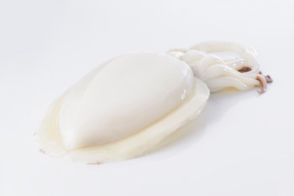 Seppia bianca