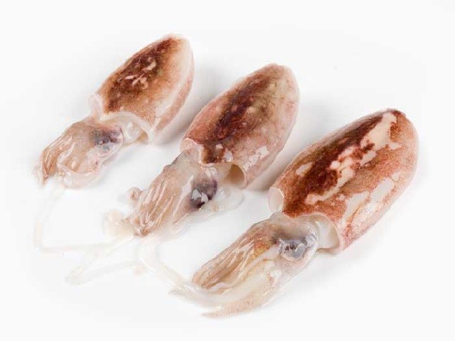 Seppiola