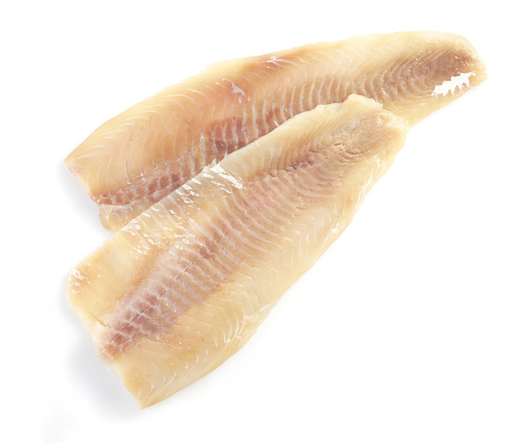 Orata Filetto