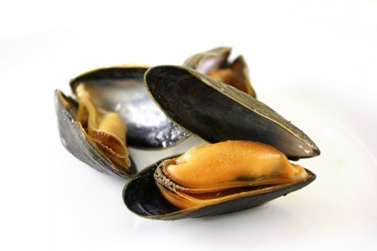 Cozze di Bouchot